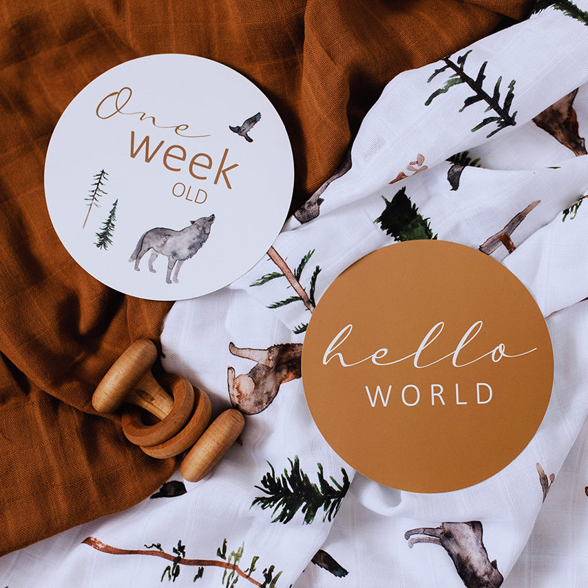 SNUGGLE HUNNY KIDS - REVERSIBLE MILESTONE CARDS (ALPHA & BRONZE)