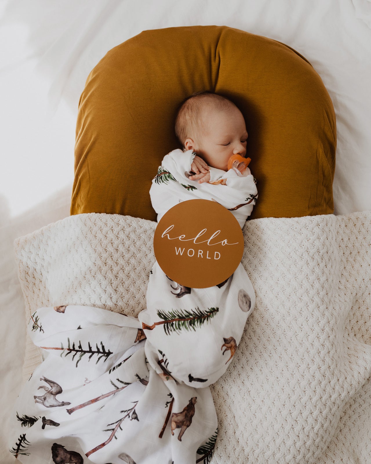 SNUGGLE HUNNY KIDS - REVERSIBLE MILESTONE CARDS (ALPHA & BRONZE)